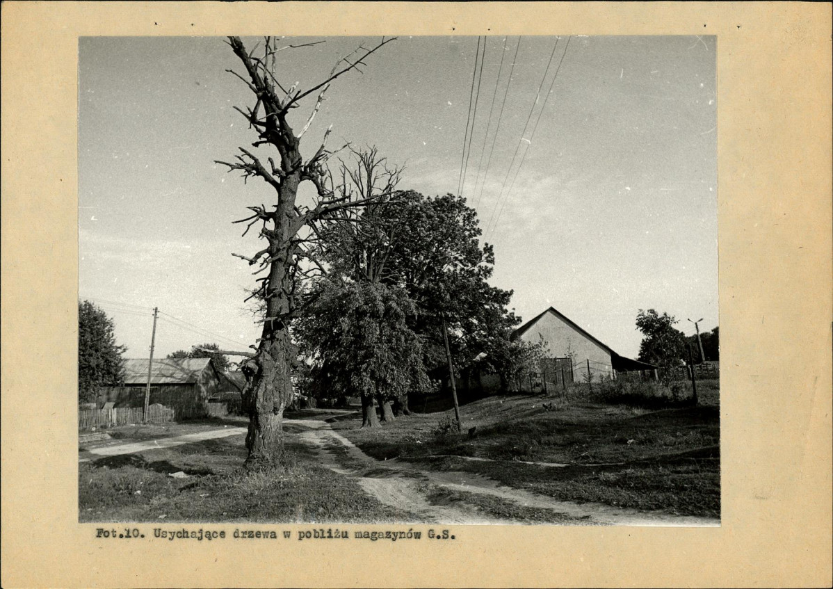 Ewidencja parkowa, skan nr 32