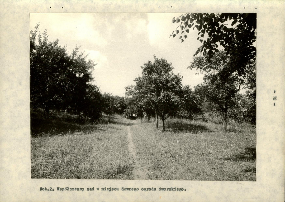 EP - Ewidencja parkowa, skan nr 20