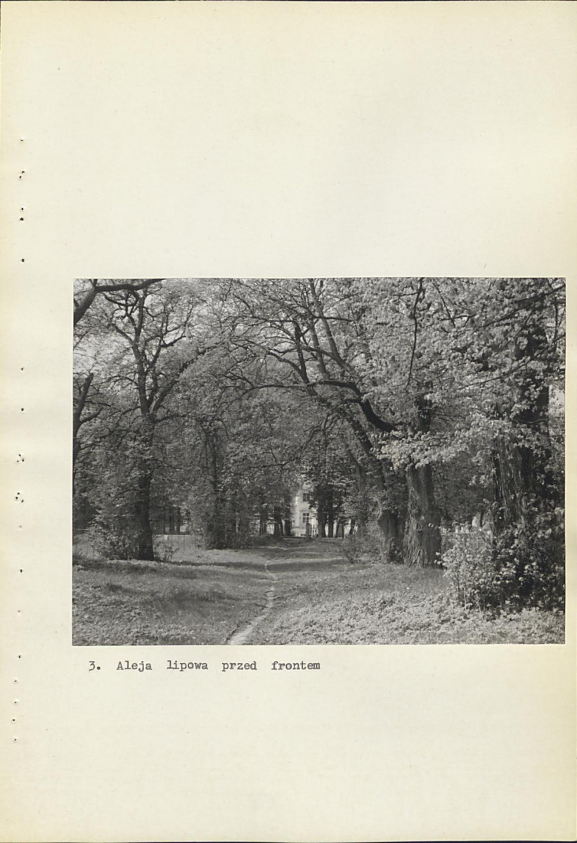 Ewidencja parkowa, skan nr 31