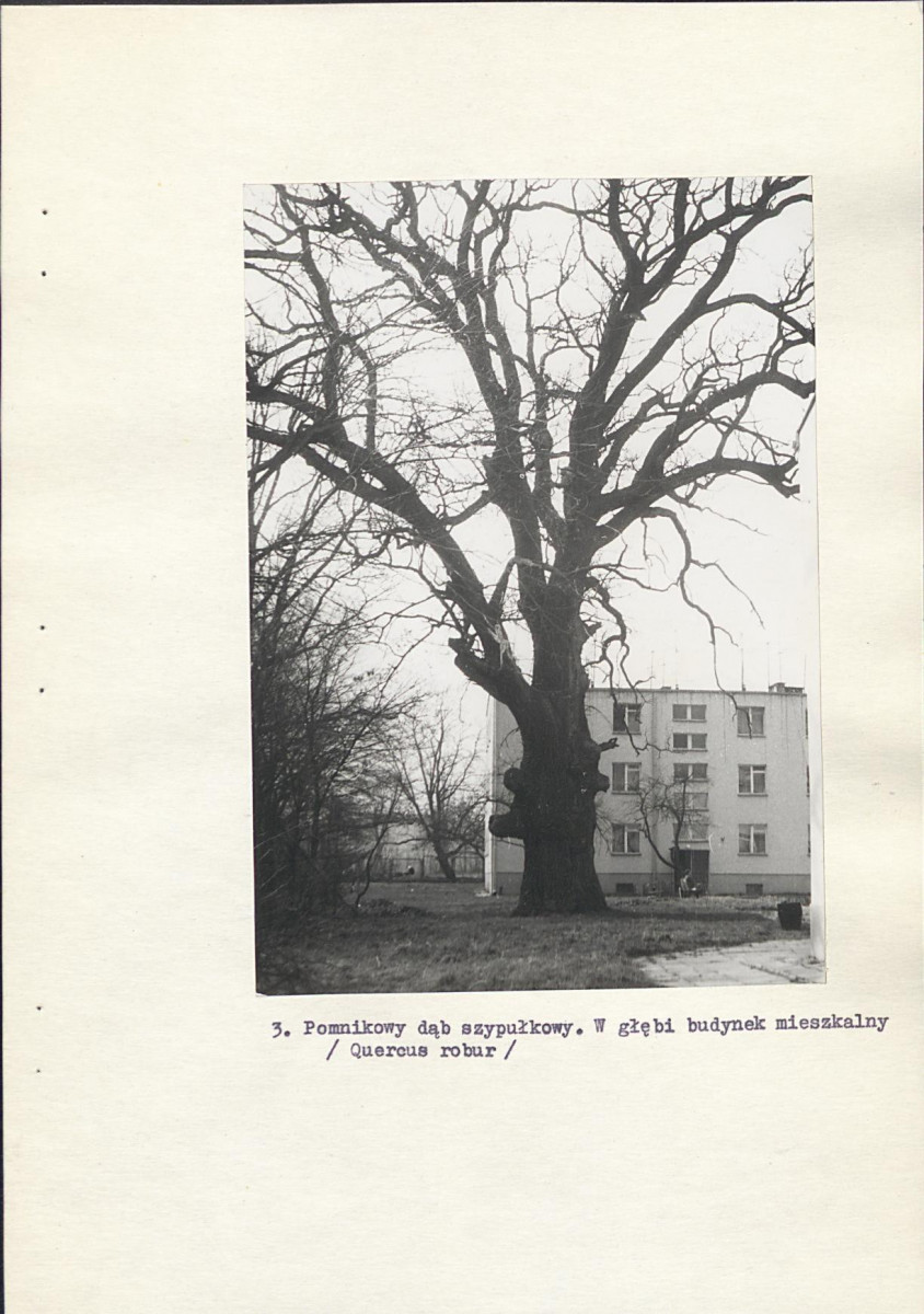 EP - Ewidencja parkowa, skan nr 29