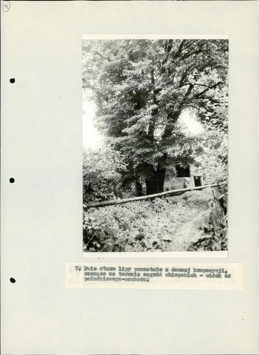 EP - Ewidencja parkowa, skan nr 36