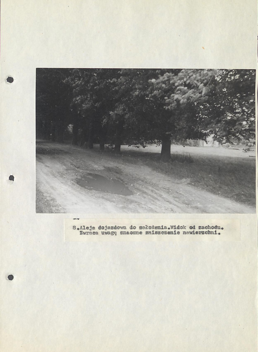 EP - Ewidencja parkowa, skan nr 29