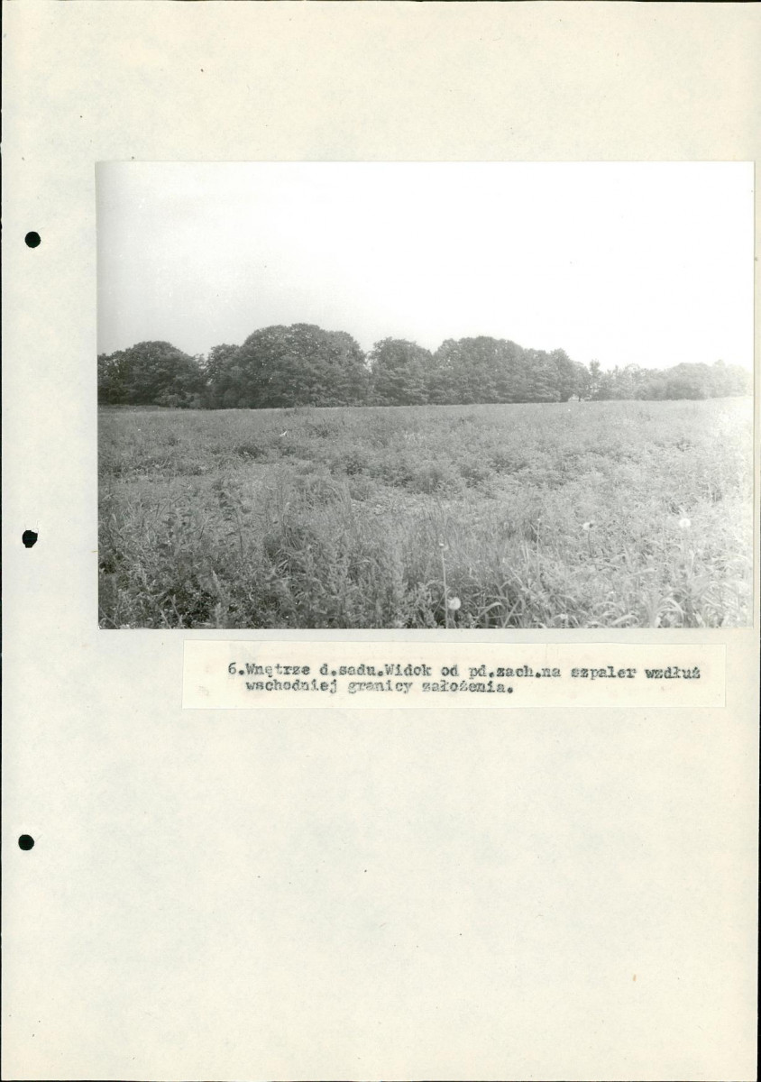 EP - Ewidencja parkowa, skan nr 32