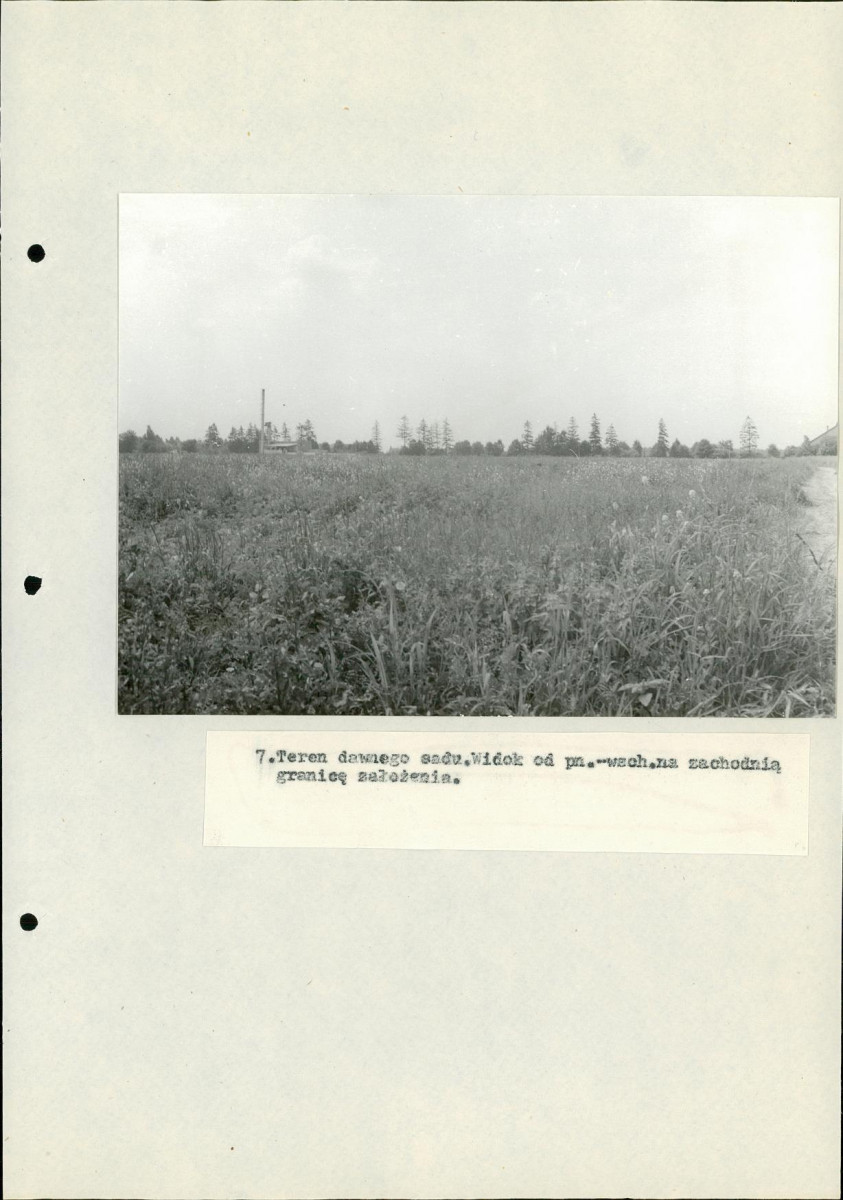 EP - Ewidencja parkowa, skan nr 33