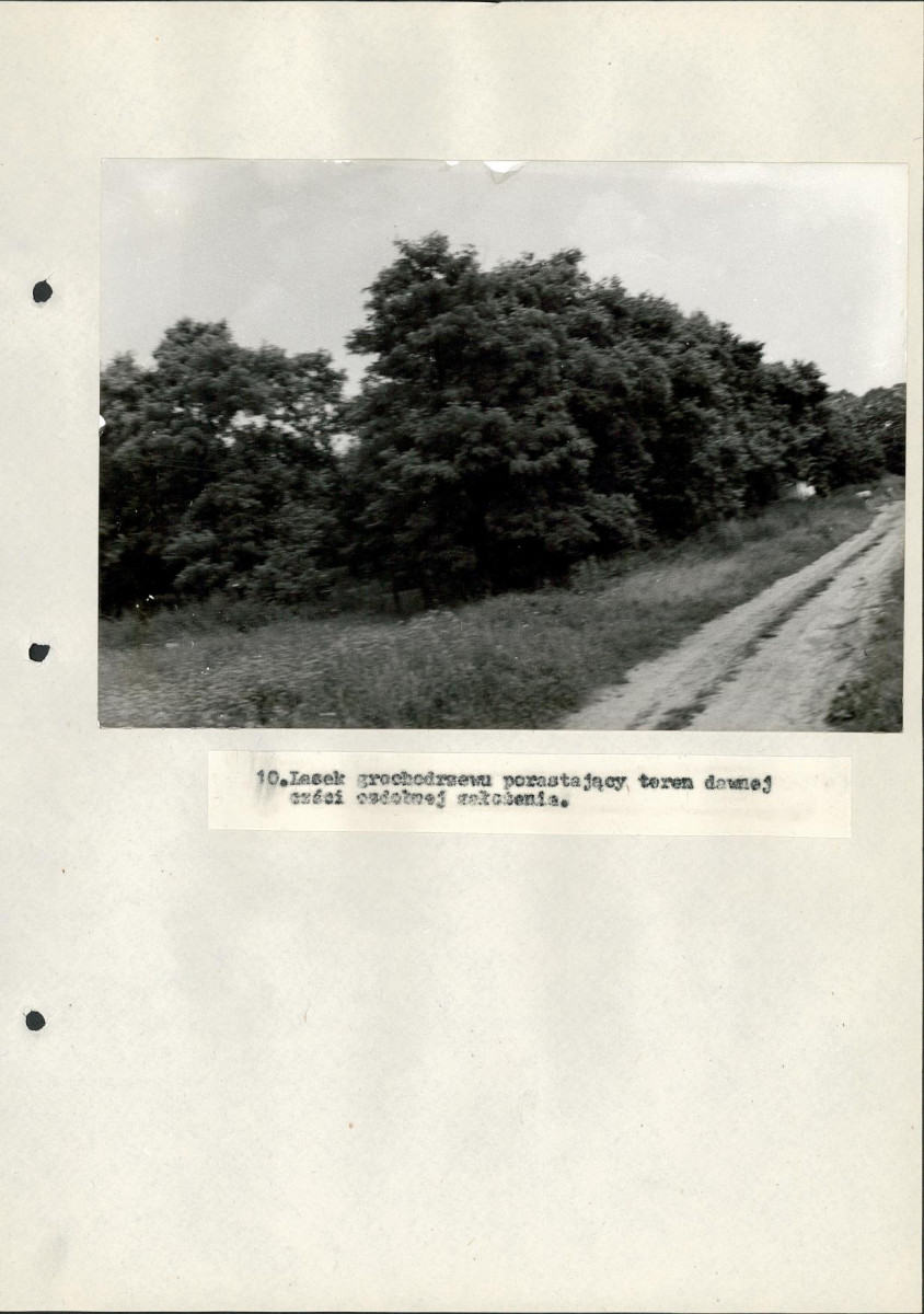 EP - Ewidencja parkowa, skan nr 36