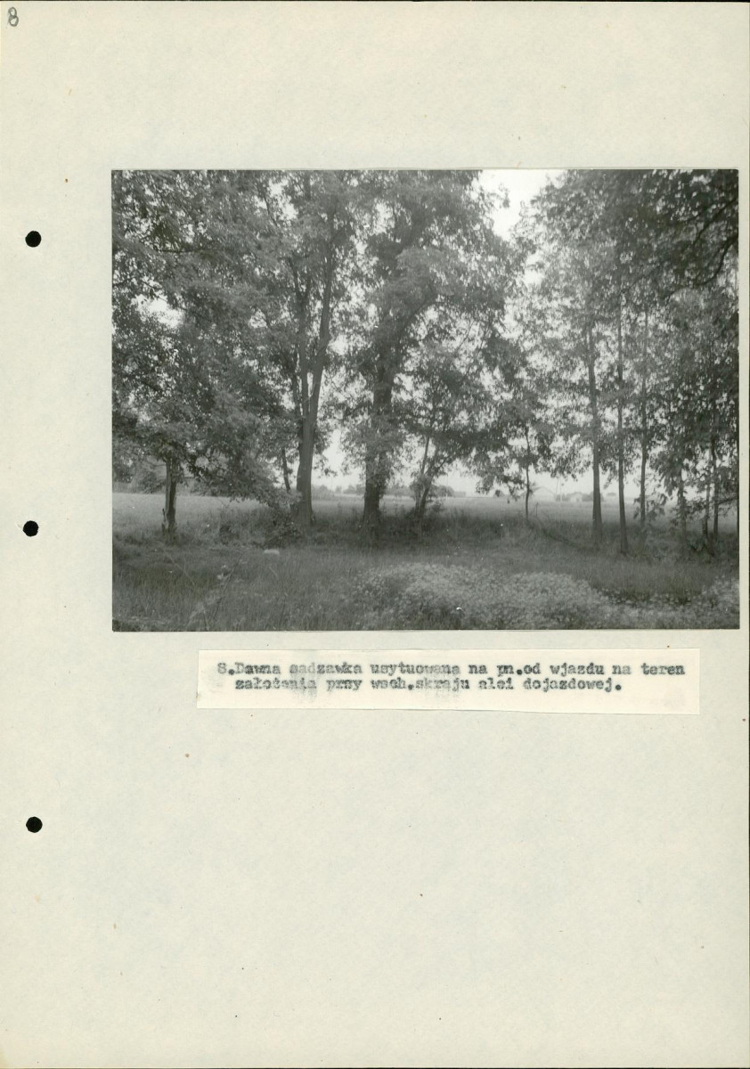 Ewidencja parkowa, skan nr 32