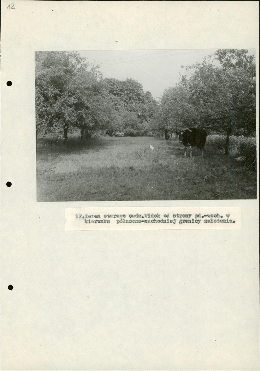 Ewidencja parkowa, skan nr 36