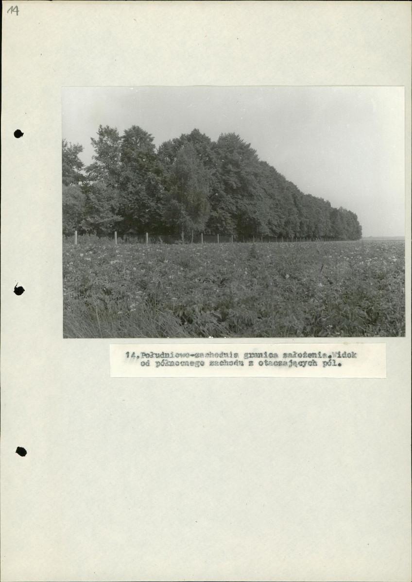 Ewidencja parkowa, skan nr 38