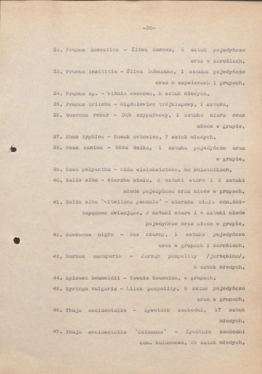 Ewidencja parkowa, skan nr 28
