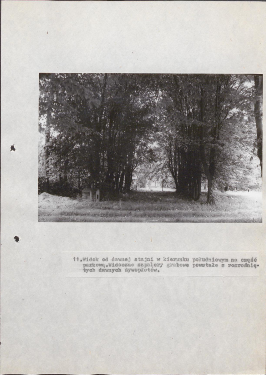 Ewidencja parkowa, skan nr 49