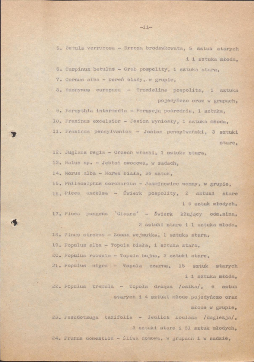 Ewidencja parkowa, skan nr 19