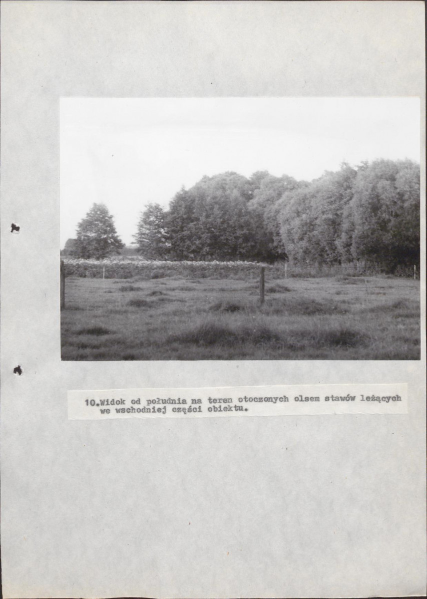 EP - Ewidencja parkowa, skan nr 35
