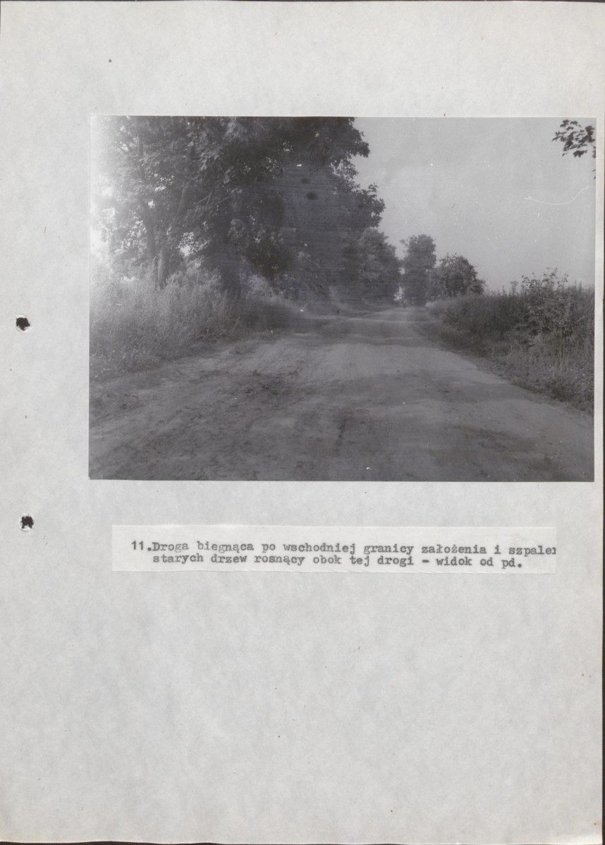 Ewidencja parkowa, skan nr 39