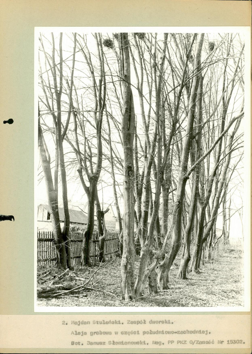 EP - Ewidencja parkowa, skan nr 37