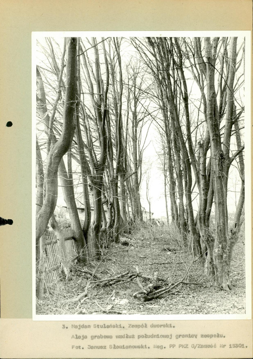 EP - Ewidencja parkowa, skan nr 38