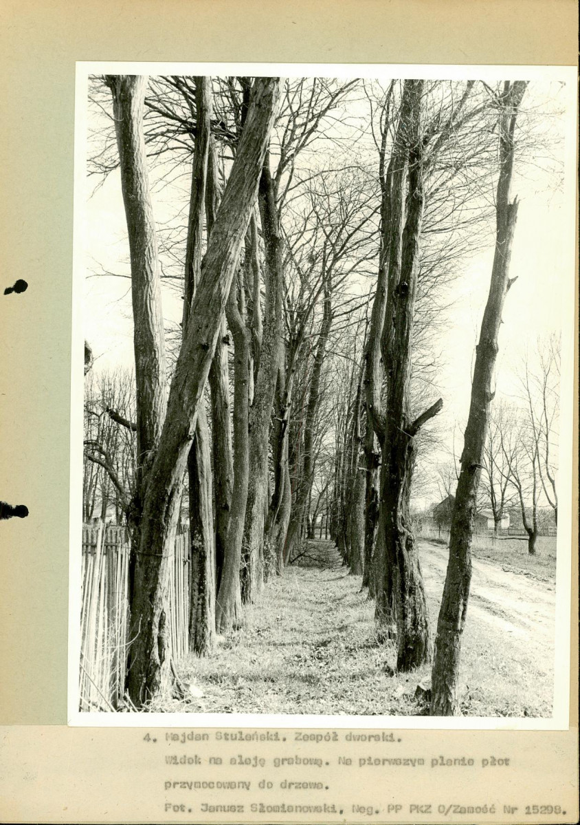 EP - Ewidencja parkowa, skan nr 39