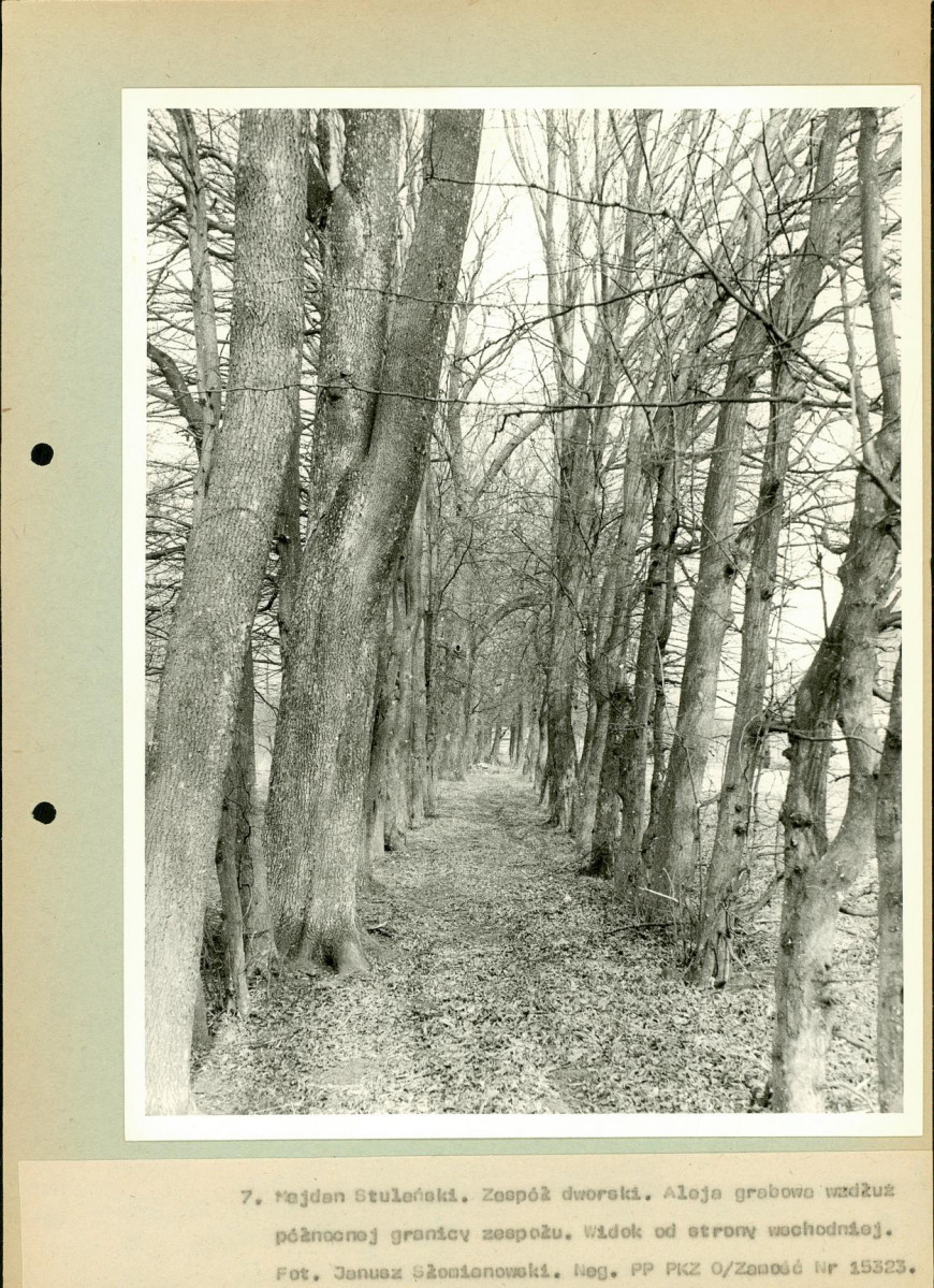 EP - Ewidencja parkowa, skan nr 42