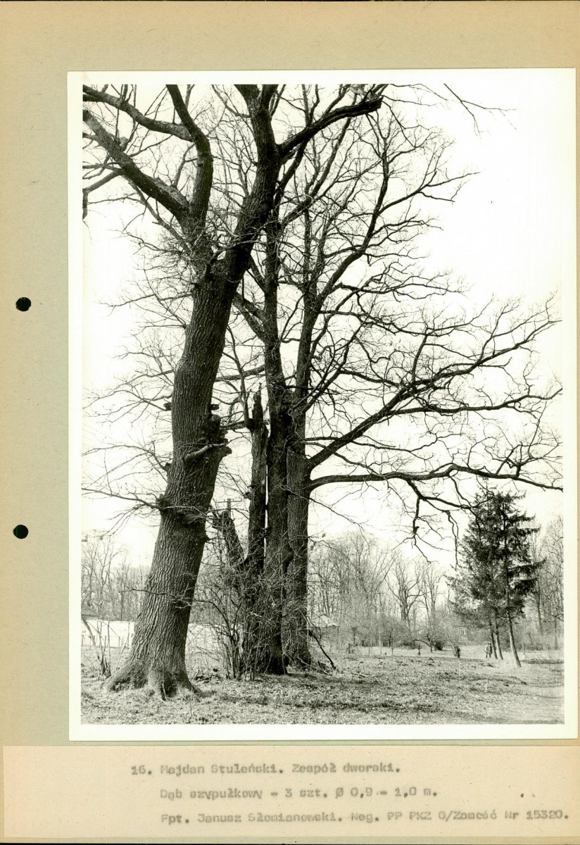 EP - Ewidencja parkowa, skan nr 51