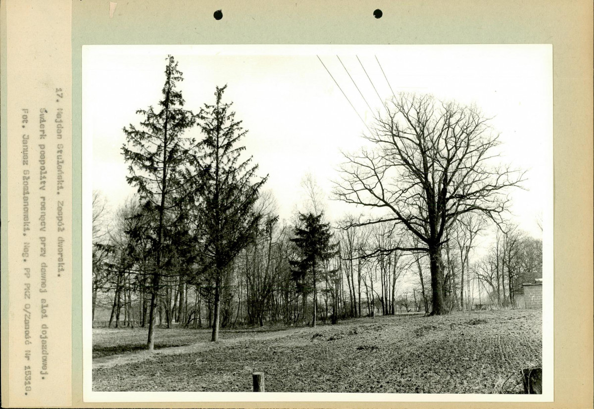 EP - Ewidencja parkowa, skan nr 52