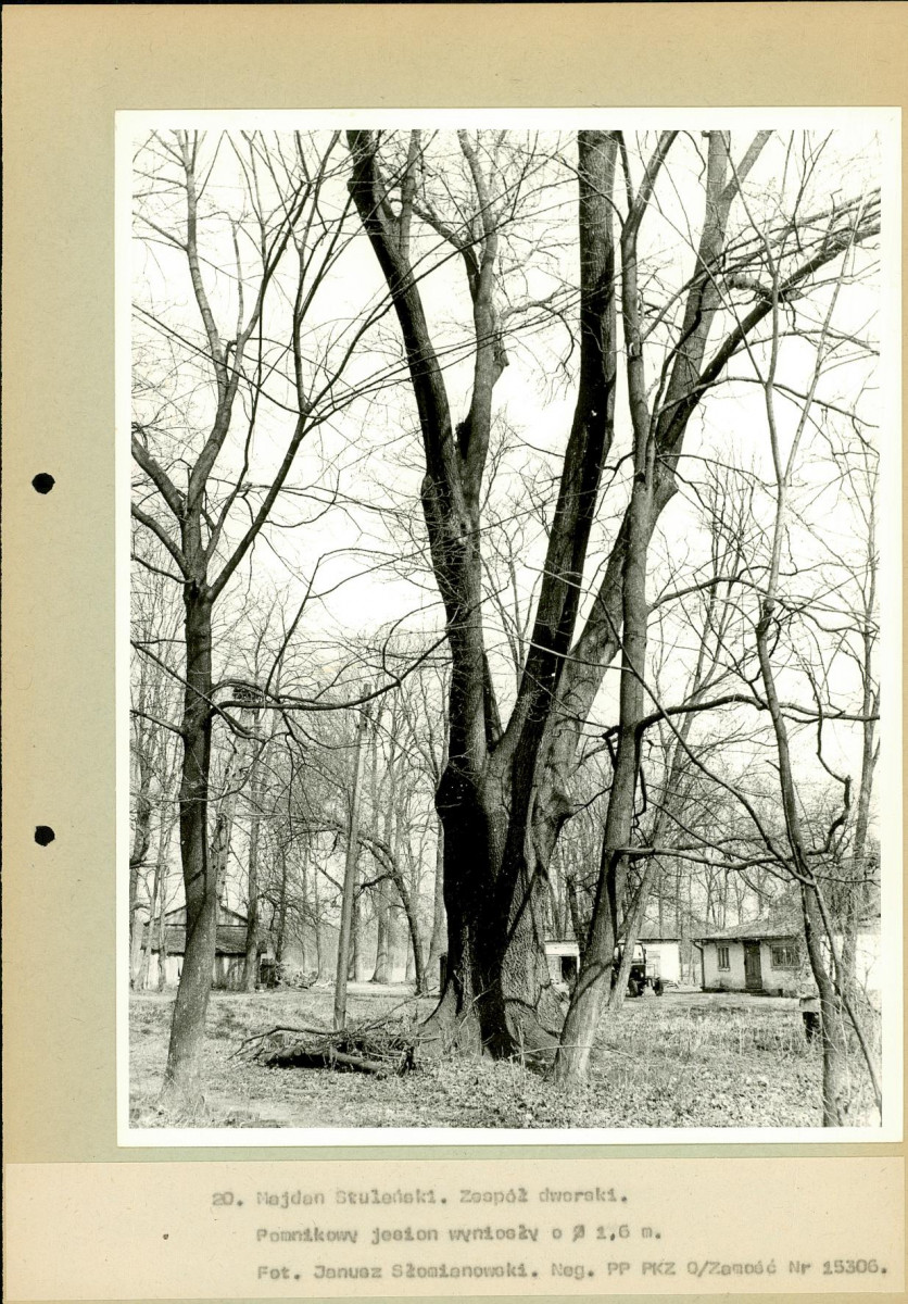 EP - Ewidencja parkowa, skan nr 55