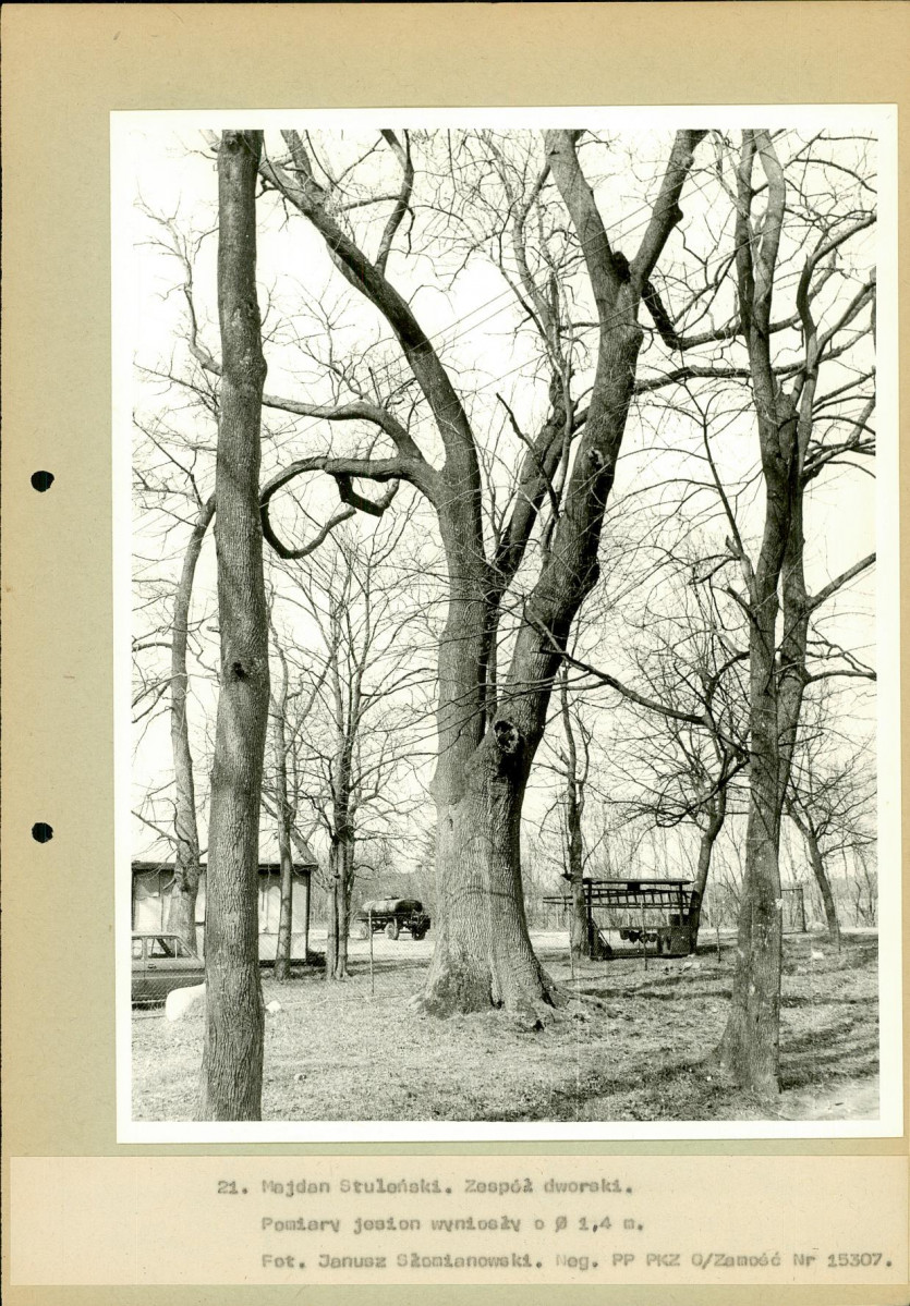 EP - Ewidencja parkowa, skan nr 56