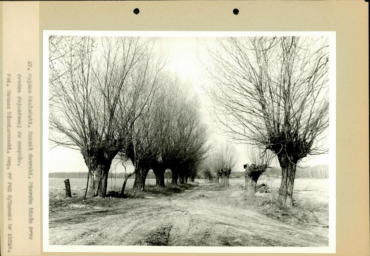 EP - Ewidencja parkowa, skan nr 62