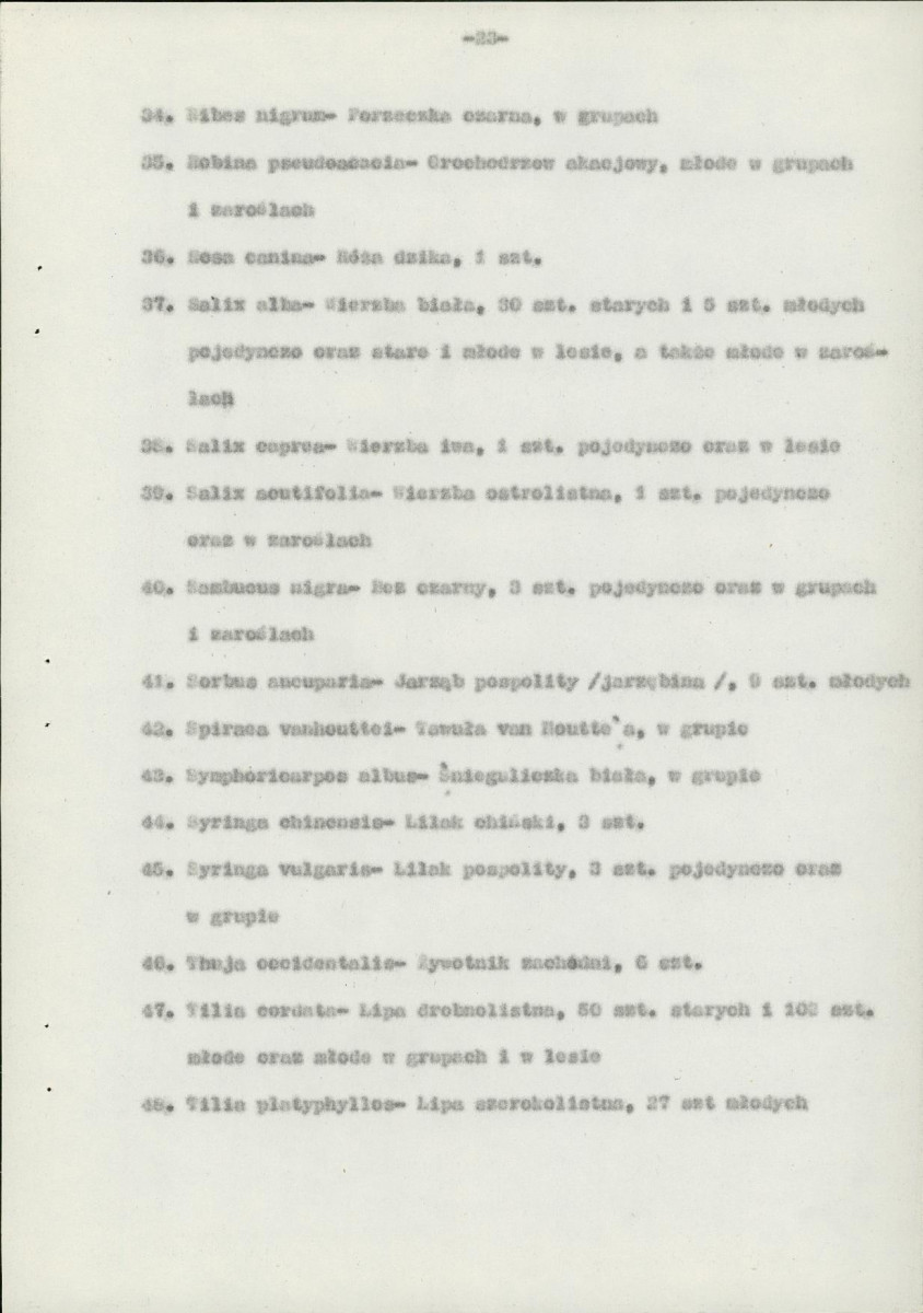 EP - Ewidencja parkowa, skan nr 33