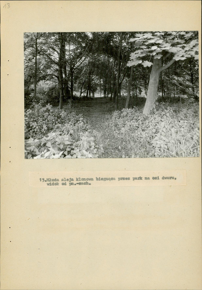 EP - Ewidencja parkowa, skan nr 57