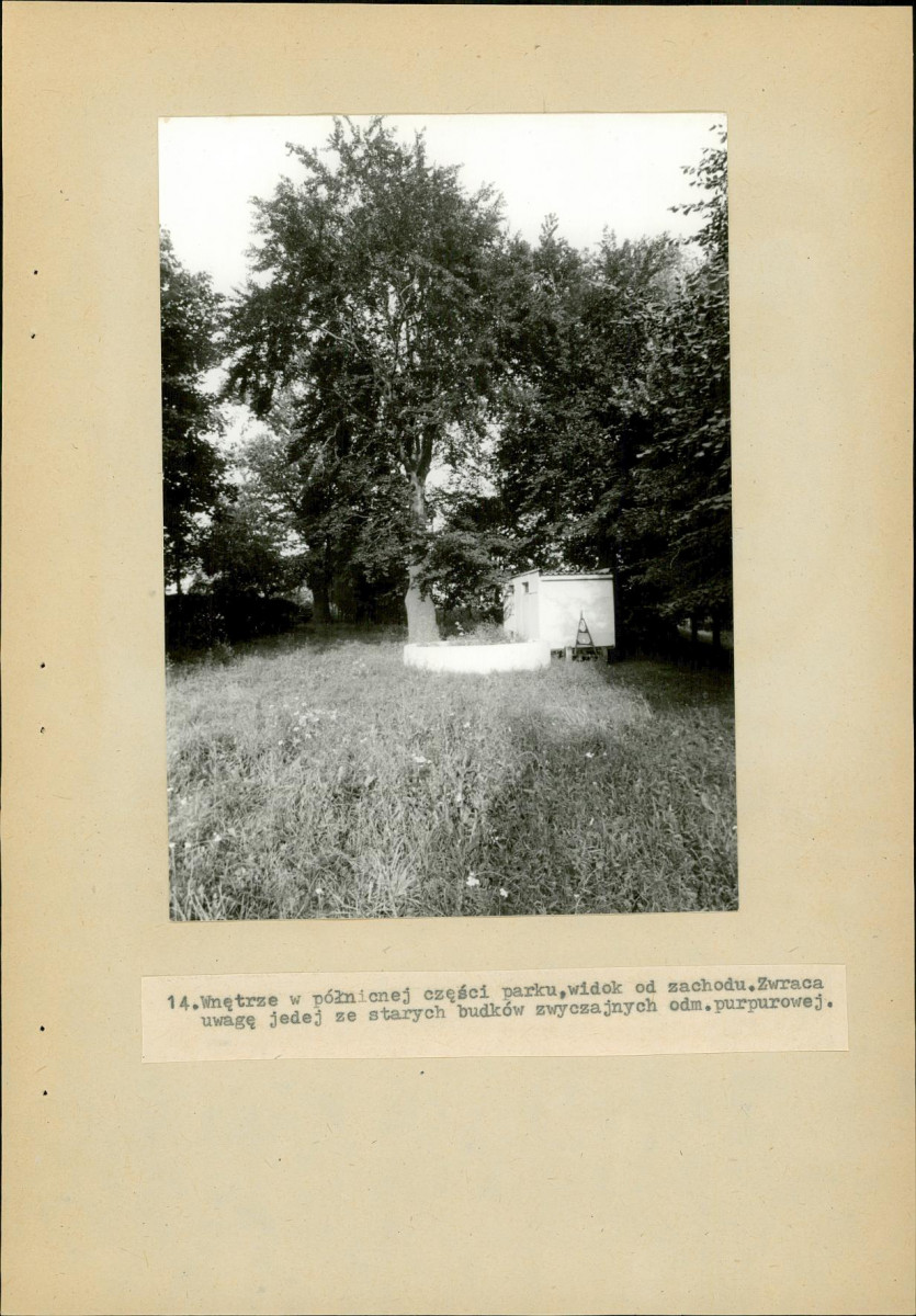 EP - Ewidencja parkowa, skan nr 58