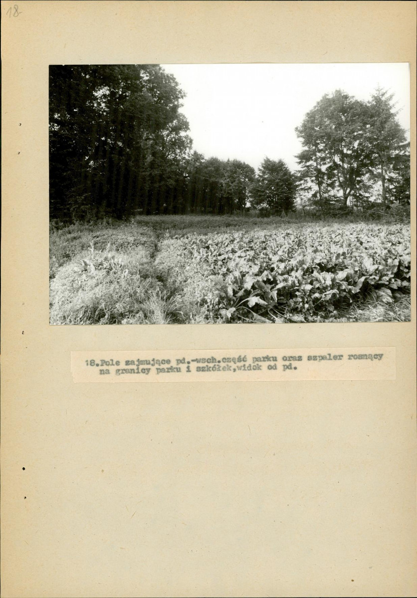 EP - Ewidencja parkowa, skan nr 62