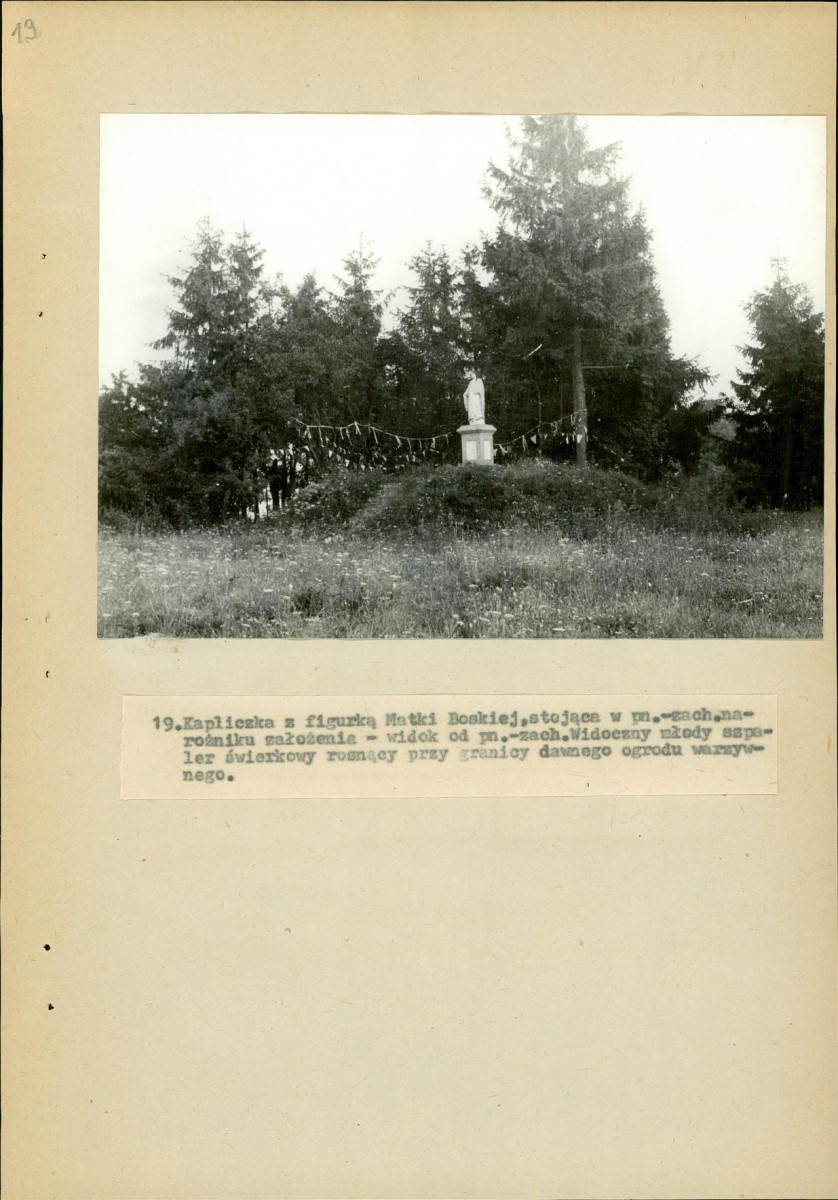 EP - Ewidencja parkowa, skan nr 63