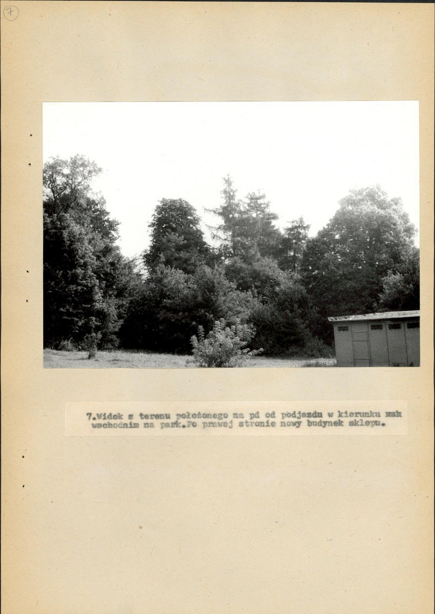 EP - Ewidencja parkowa, skan nr 41
