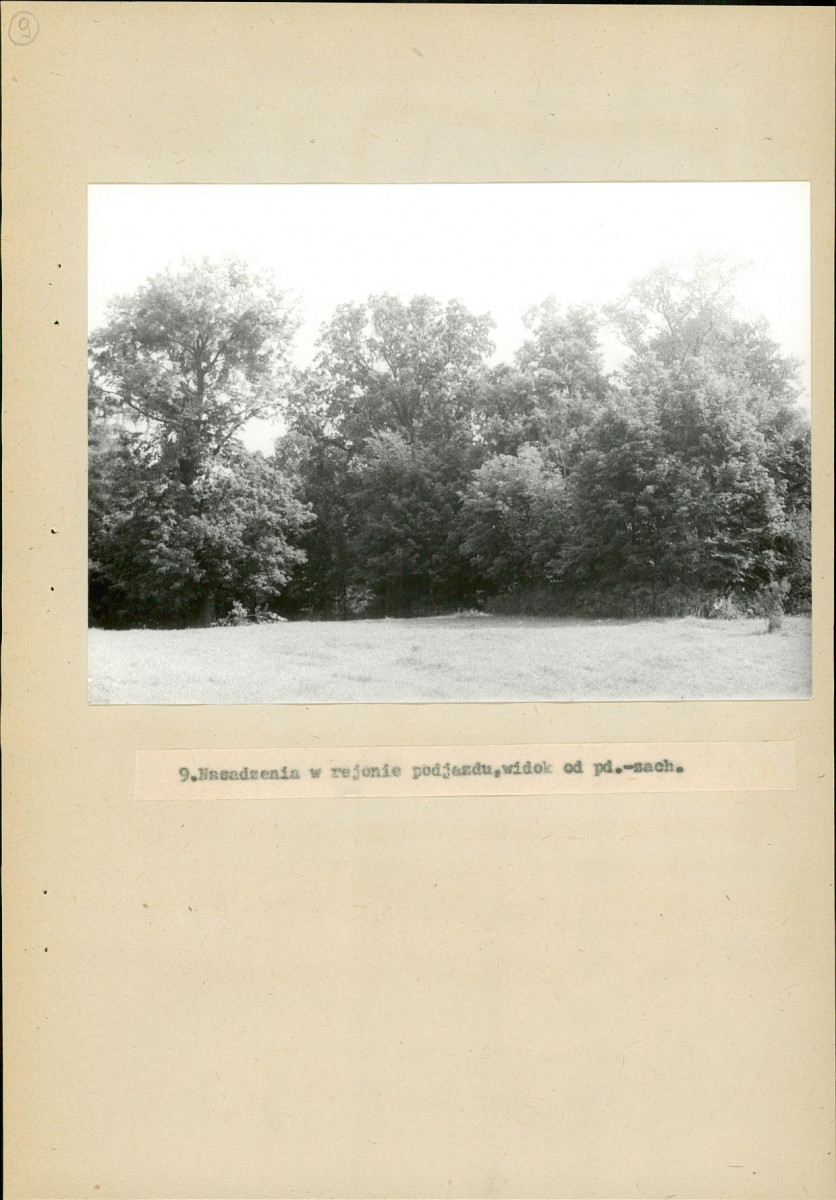 EP - Ewidencja parkowa, skan nr 43