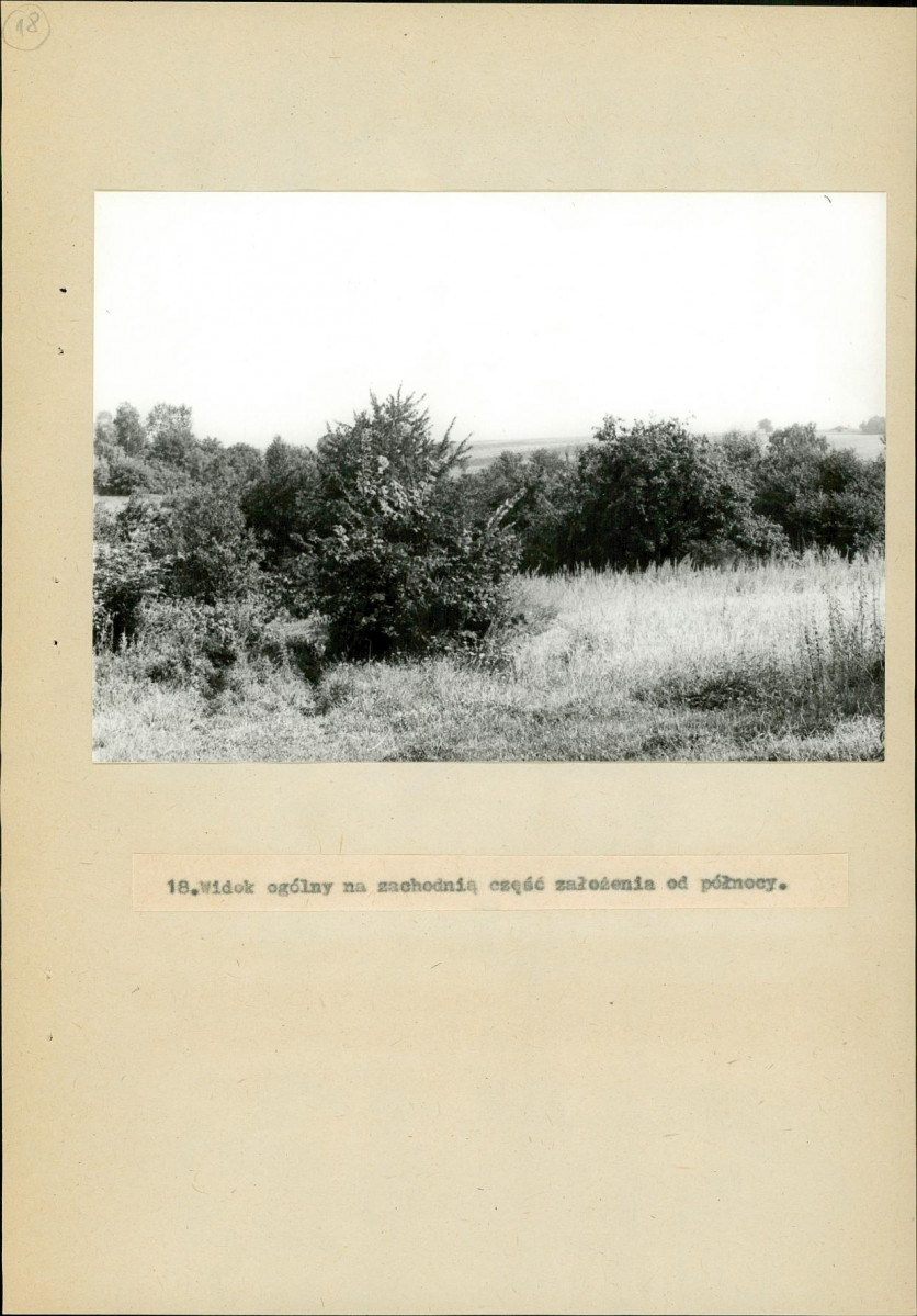 EP - Ewidencja parkowa, skan nr 52