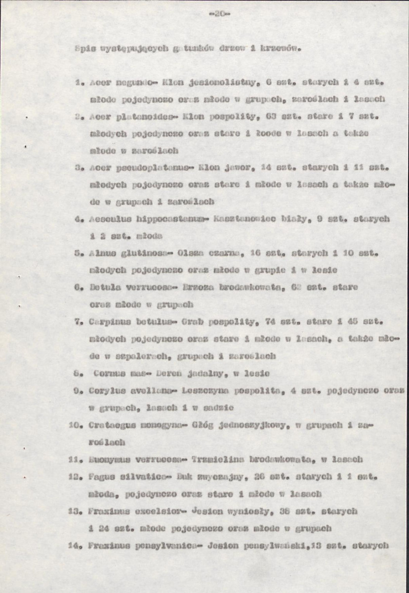 Ewidencja parkowa, skan nr 33