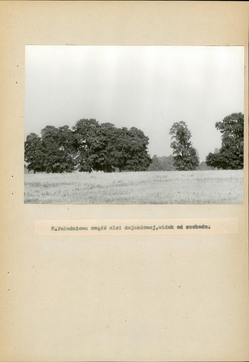 Ewidencja parkowa, skan nr 50