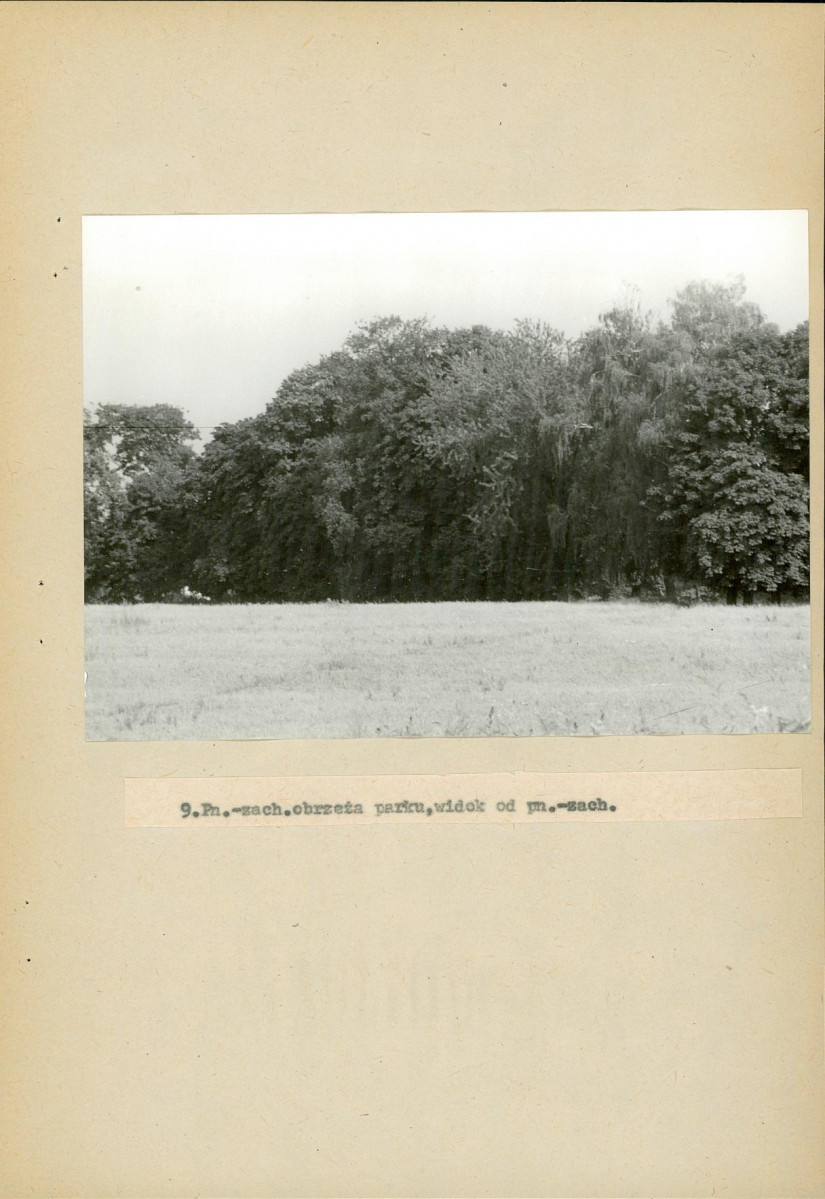 Ewidencja parkowa, skan nr 51
