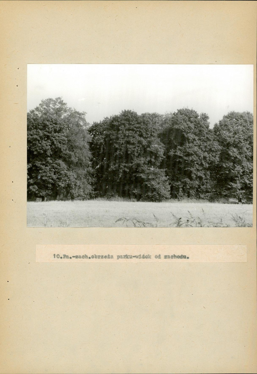 Ewidencja parkowa, skan nr 52
