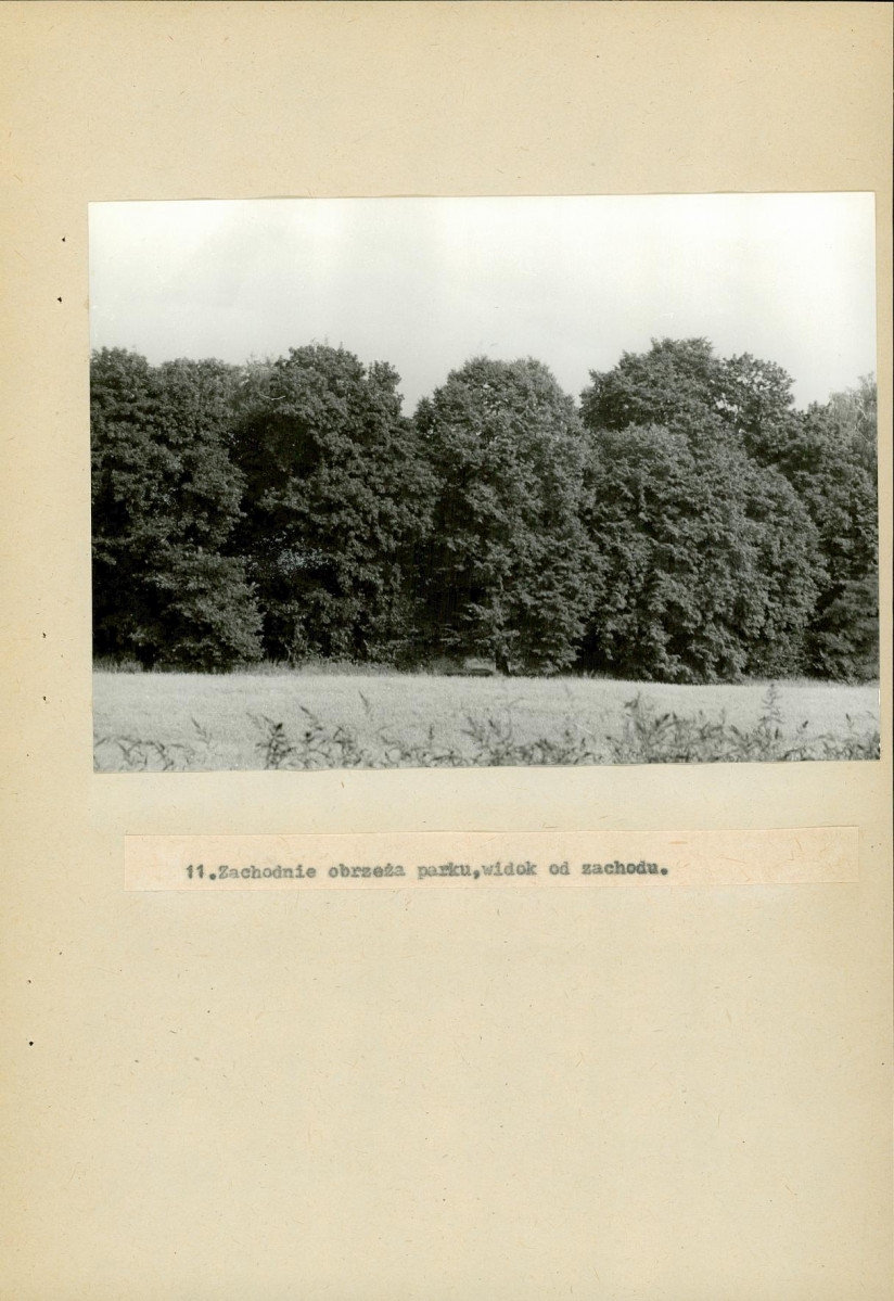 Ewidencja parkowa, skan nr 53