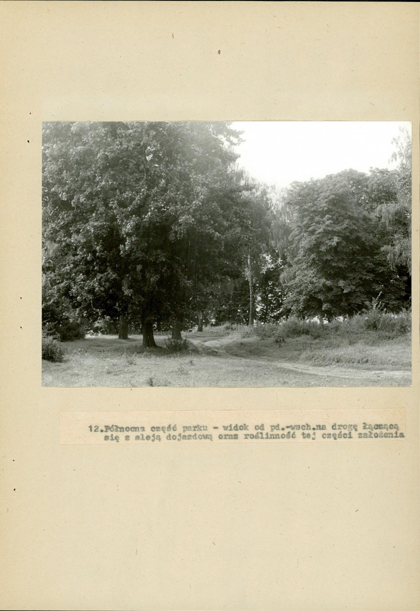 Ewidencja parkowa, skan nr 54