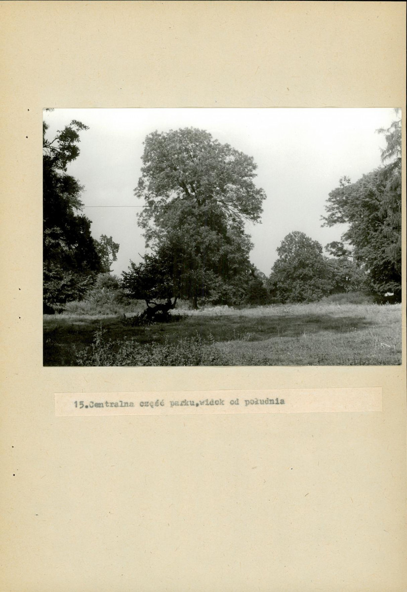 Ewidencja parkowa, skan nr 57