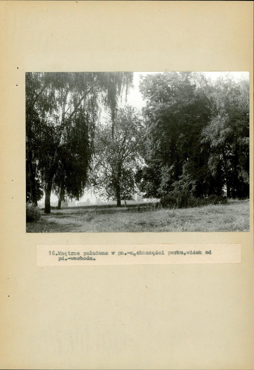 Ewidencja parkowa, skan nr 58