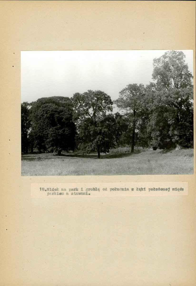 Ewidencja parkowa, skan nr 60