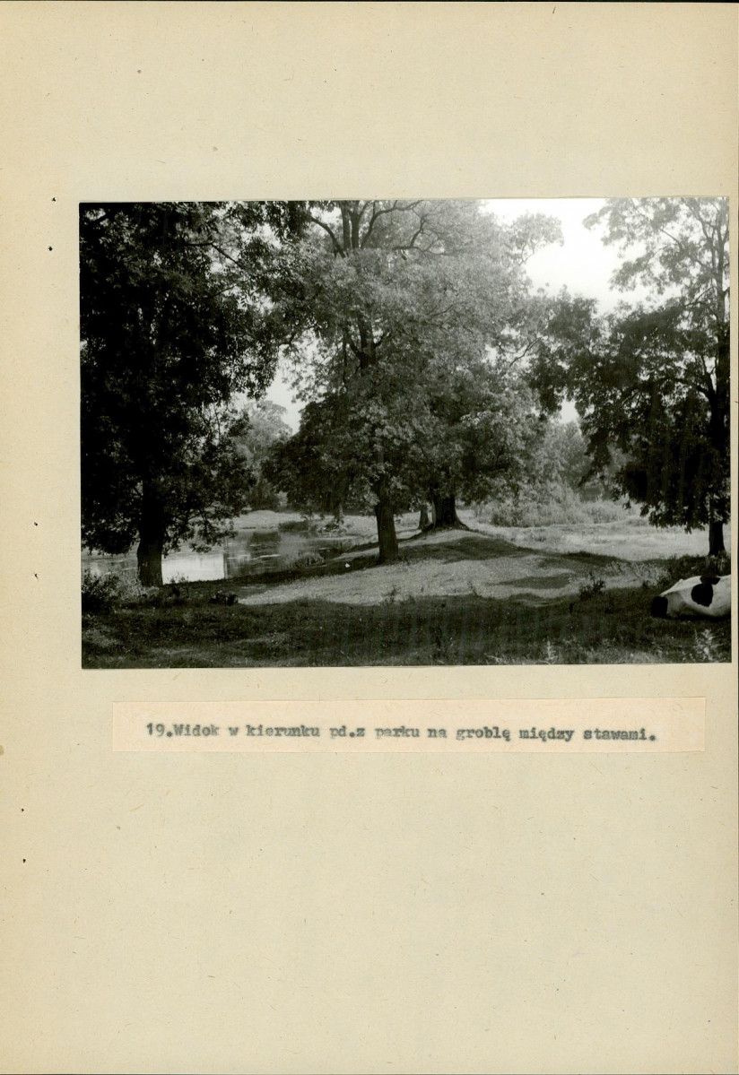 Ewidencja parkowa, skan nr 61