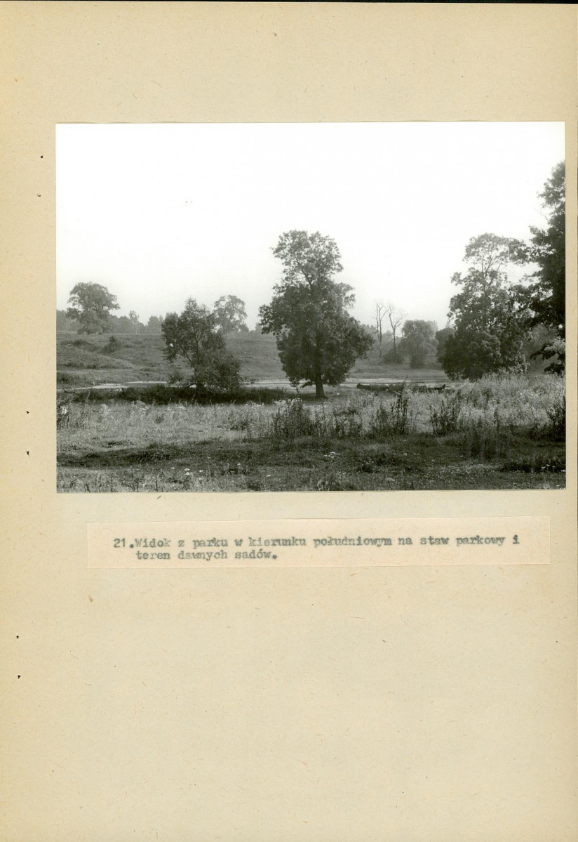 Ewidencja parkowa, skan nr 63