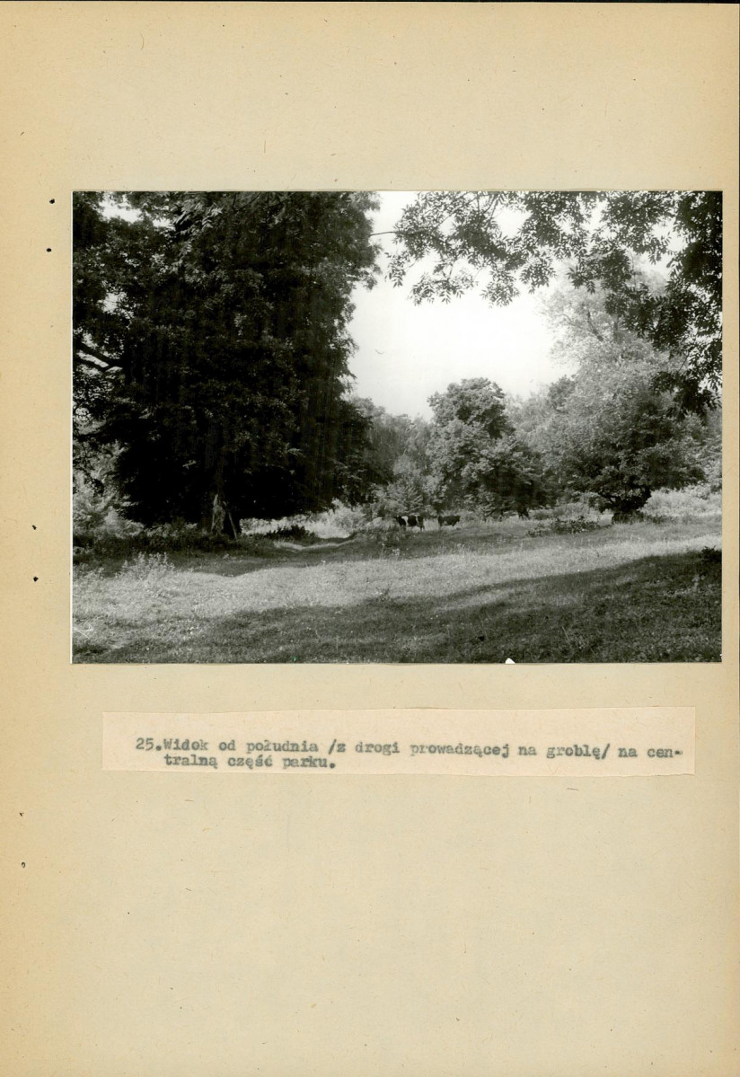 Ewidencja parkowa, skan nr 67