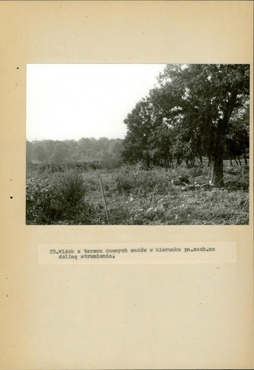 Ewidencja parkowa, skan nr 71