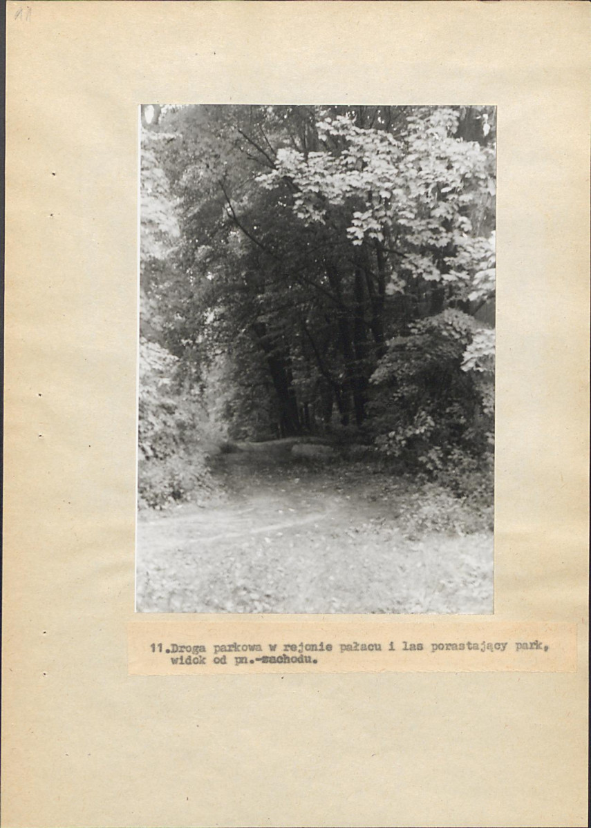 Ewidencja parkowa, skan nr 56
