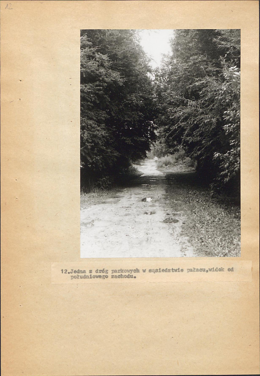 Ewidencja parkowa, skan nr 57