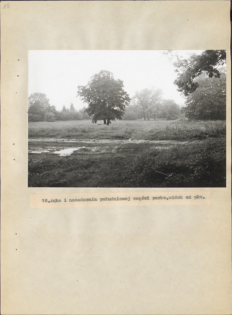 Ewidencja parkowa, skan nr 63
